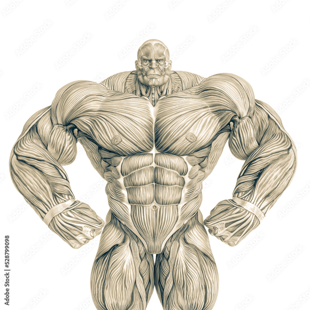 Photo & Art Print muscle maps of a strong man is angry, DM7