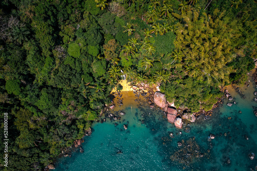 Tropical island without people  with golden sand and tropical greenery  drone view