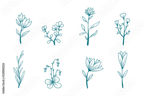 8 Flower set hand drawing vector for aesthetic design or design element