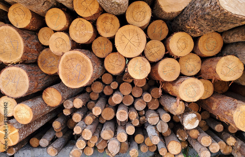 A closeup shot of wood logs stacked in a pile  pine logs of various sizes  background texture