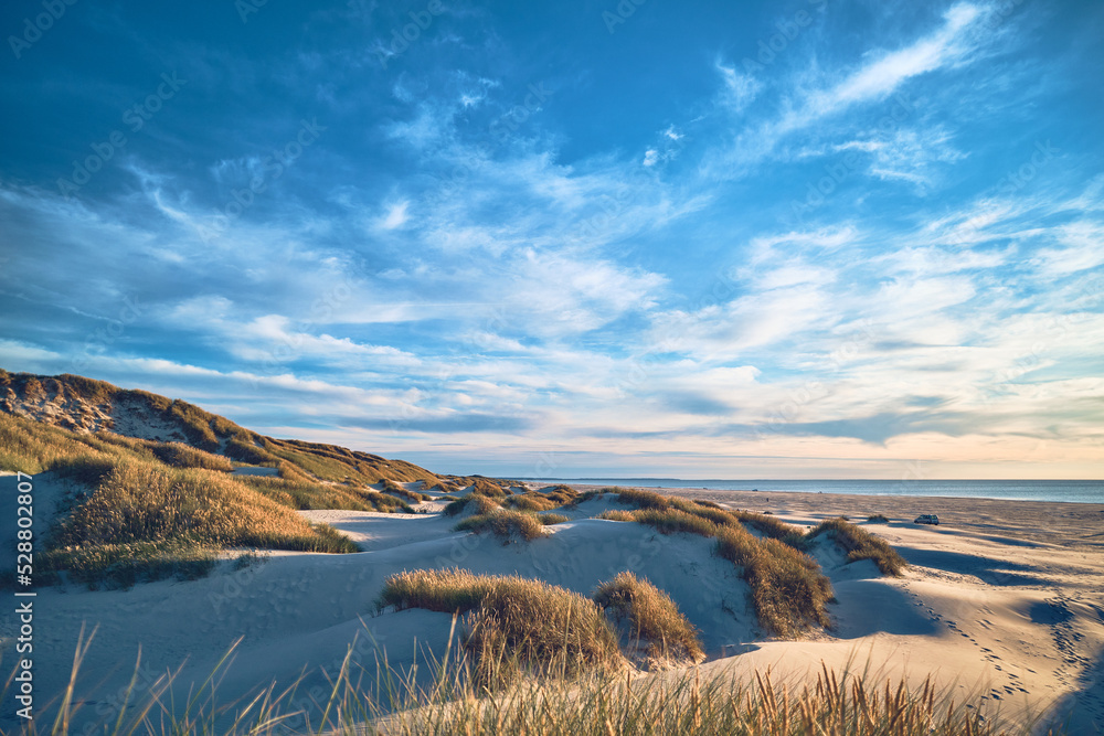 Obraz premium Wide Dunes at the danish north sea shore. High quality photo