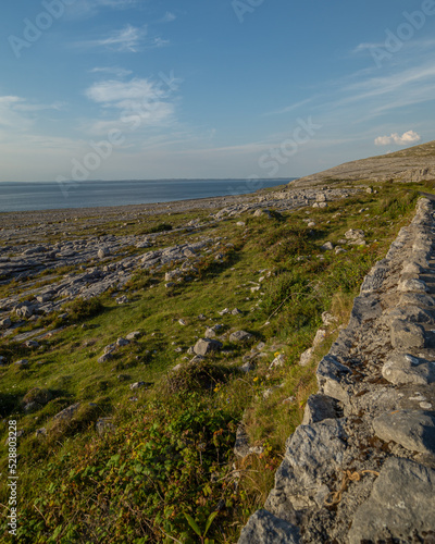 view of Burren, Co.Clare, stones