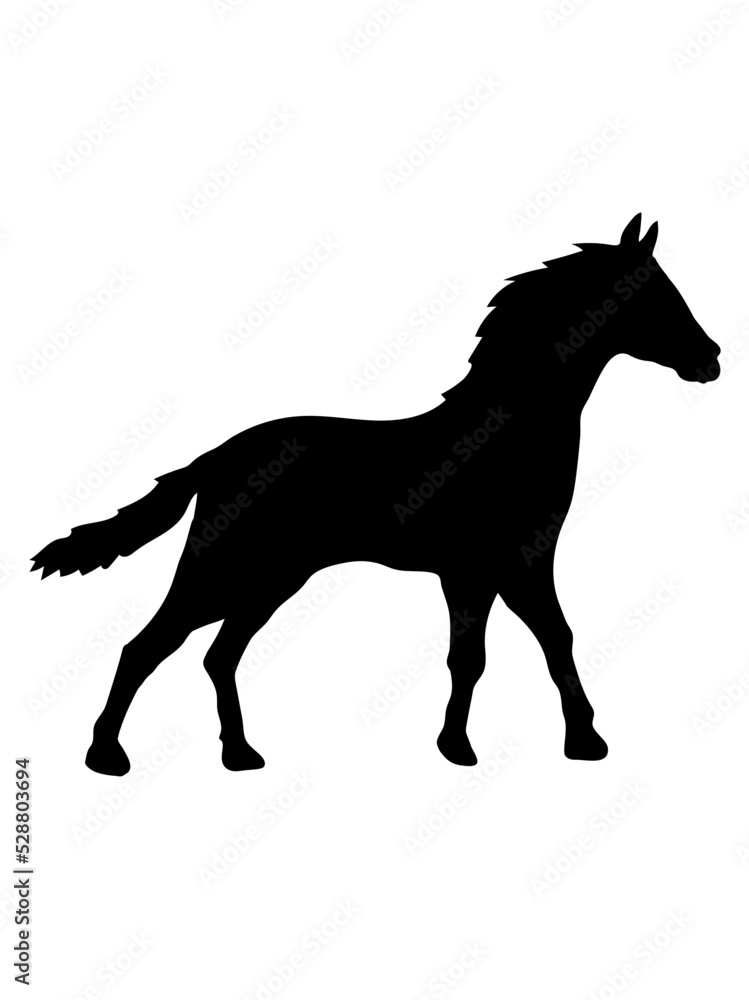 Pferd Silhouette Umriss Schatten Pferd Silhouette Umriss Schatten
