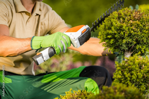 Bild auf Leinwand Hand Held Hedge Trimmer in Use