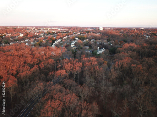 Fall in Laurel MD photo