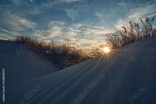 Fotografia, Obraz Sun shines through dune at the danish north sea coast