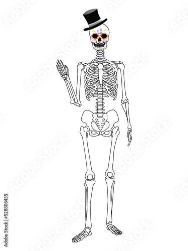 Fotografija Skeleton of the day of the dead on a white background, better known as El catrín