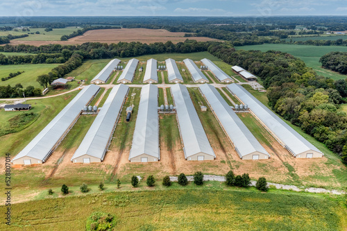 Fotografia Aerial view of Poultry houses and farm in Tennessee.