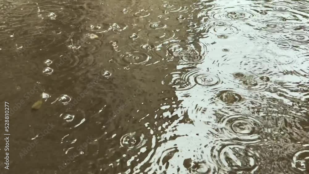 Autumn rain water drops falling into big puddle on asphalt, flooding the street. Autumn rain water drops falling into big puddle on asphalt, flooding the street.
