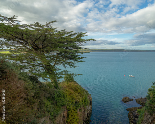 view of the sea from Ardmore Cliff Walk