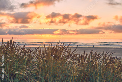 Fototapeta Naklejka Na Ścianę i Meble -  Sunset at the danish coast at Saltum Strand. High quality photo