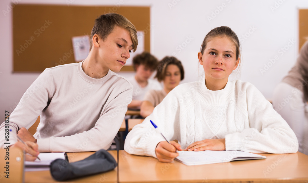 Fototapeta premium Portrait of teenage school girl and boy sitting together in classroom during lesson in secondary school