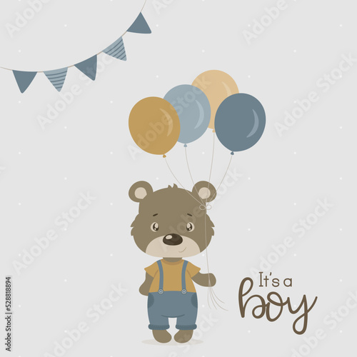 Baby shower it's a boy cute litlle teddy bear 