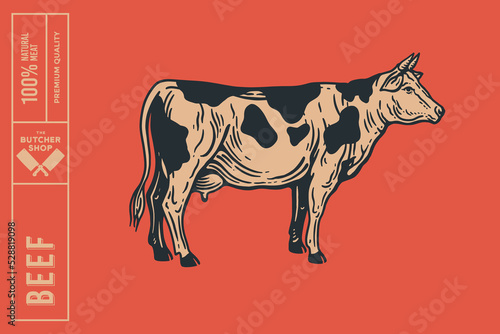 Cow in engraving style on a red background. Design element for animal books, butcher shops, farmers markets. Vector vintage illustration.