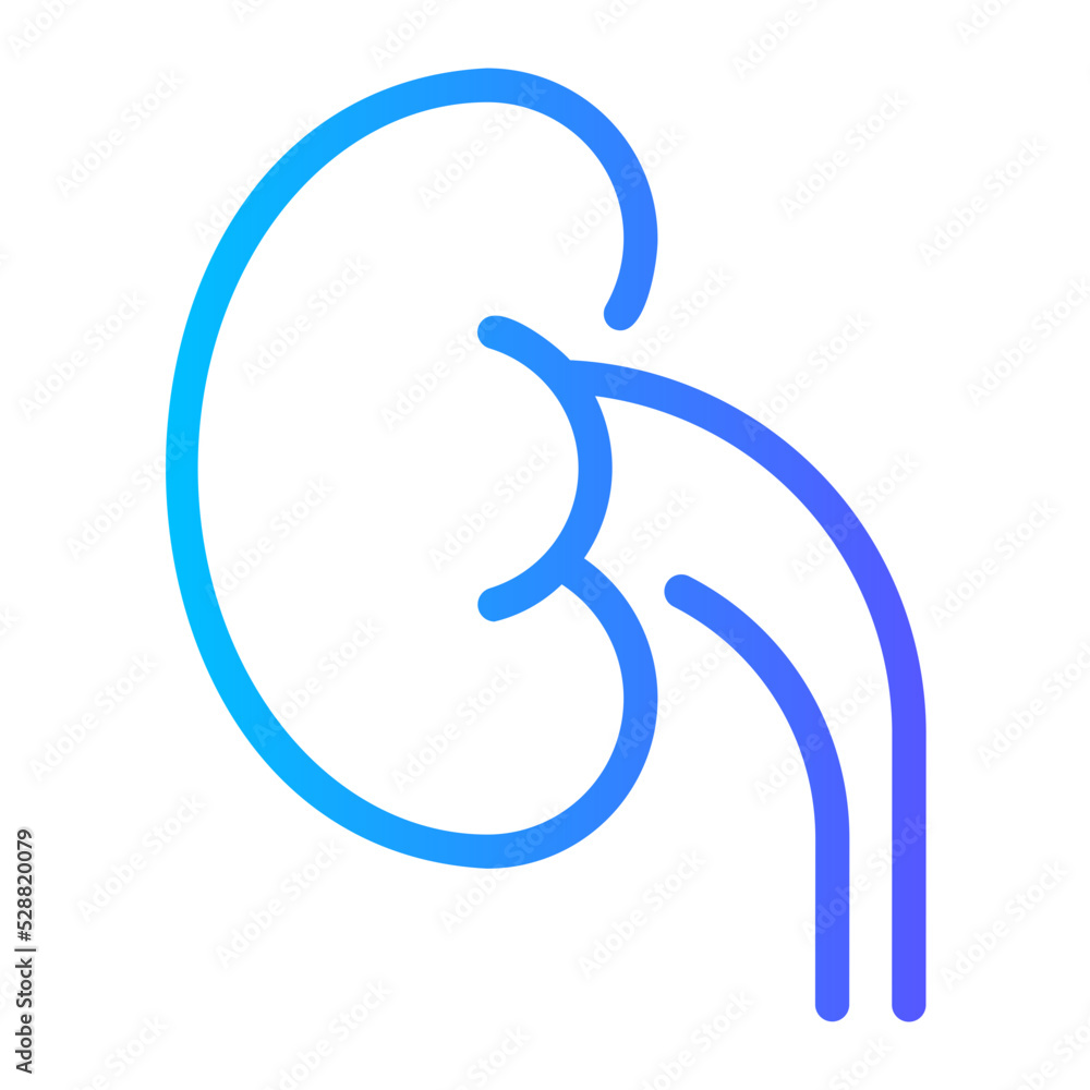 kidney gradient icon kidney gradient icon