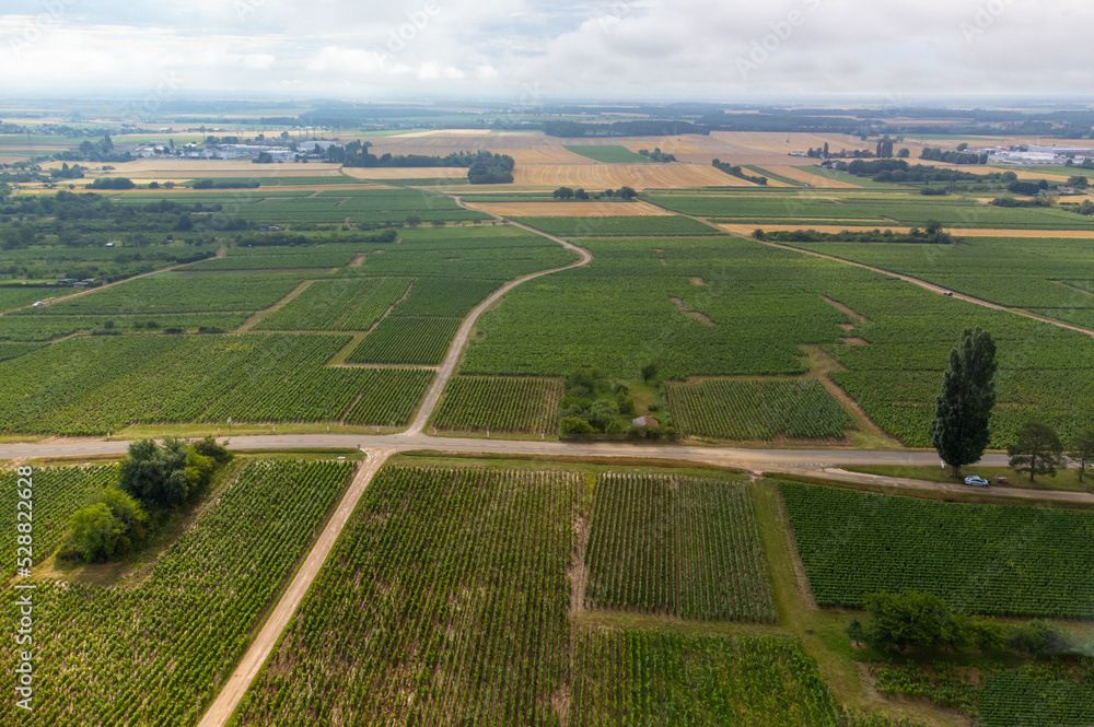 Panoramic view on grand cru vineyards in Côte-d'Or Burgundy winemaking region, Bourgogne-Franche-Comté, France