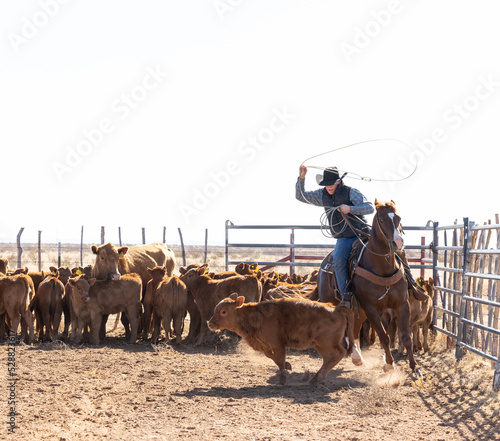 New Mexico Cowboy photo