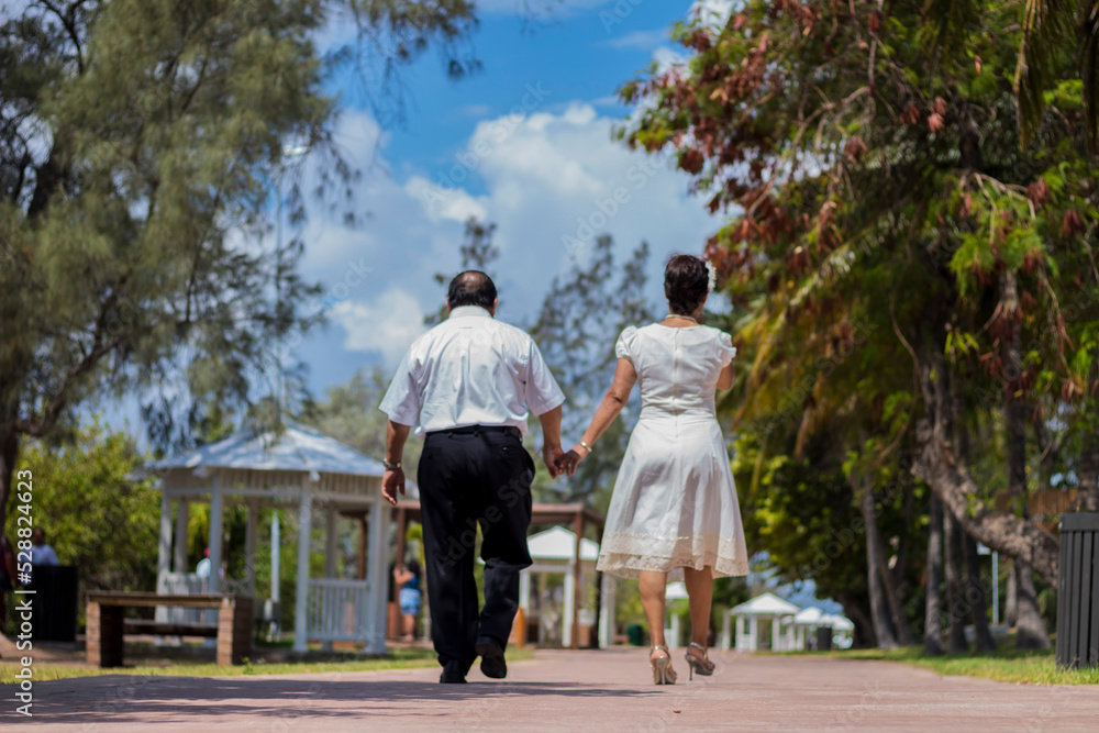 Obraz premium Couple of adults grandparents are walking on the park