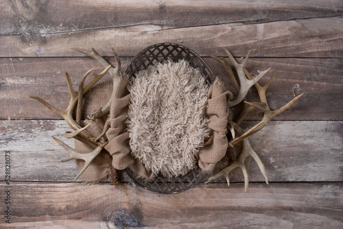 Fotografie Beige Deer Antler Newborn Digital Background