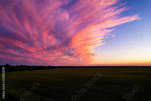 sunset over corn field in Atlanta, Illinois