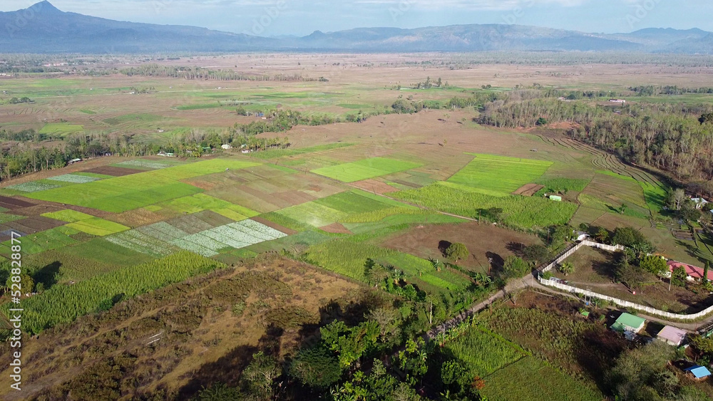 Fototapeta premium Aerial view of agricultural farming landscape in rural countryside, patterned, well-tended fields of crops, in Maliana, Timor-Leste, on the border with Indonesia, Southeast Asia 