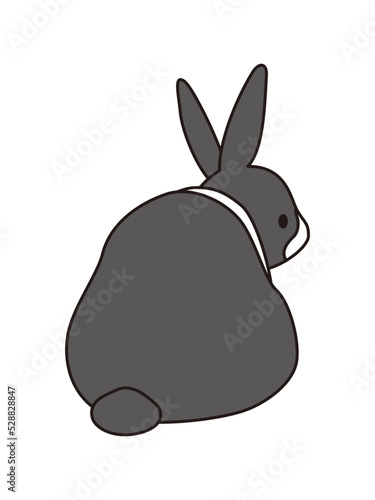 ダッチうさぎ　背面　後ろ姿