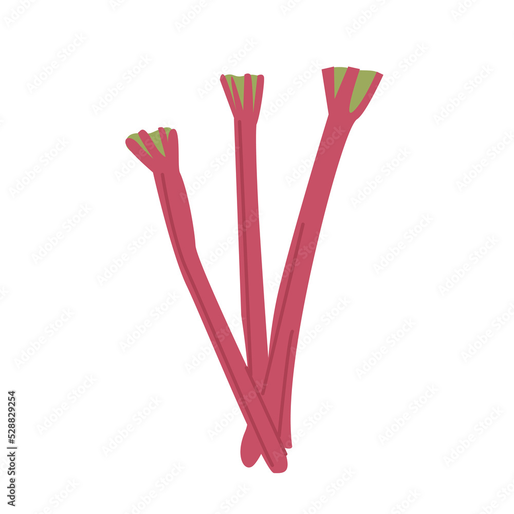 Whole rhubarb stem without leaves in red pink color. Organic spring vegetable. Ingredient for tart baking. Colored flat style vector illustration isolated on white. Whole rhubarb stem without leaves in red pink color. Organic spring vegetable. Ingredient for tart baking. Colored flat style vector illustration isolated on white.