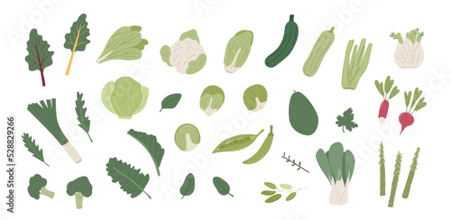 Collection of iron rich different vegetables. Bundle of organic natural greens, salad and herbs. Vegan vegetarian healthy diet ingredients. Vector illustration flat style isolated on white background.