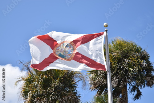 Florida flag with blue sky and palm trees in the background