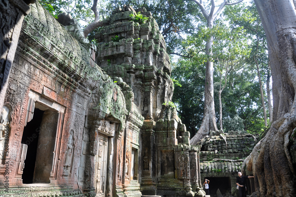 Obraz premium Ta Prohm at Angkor Wat