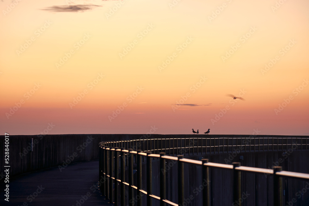 Obraz premium abstract shapes with light and shadow at sunrise on concrete walkway