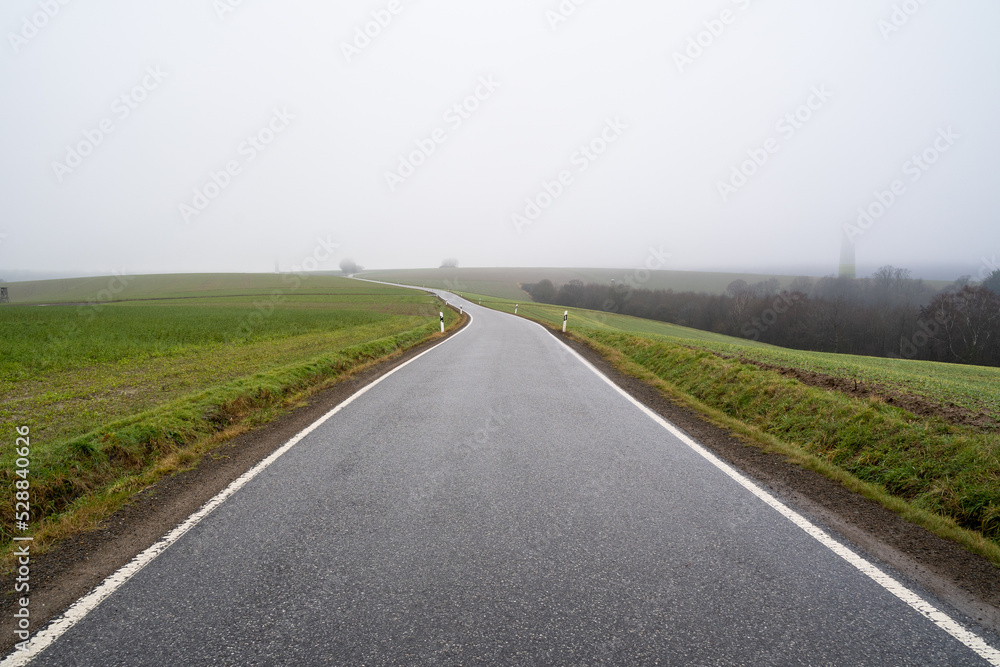 Long asphalt country road on a foggy autumn morning