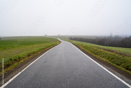 Long asphalt country road on a foggy autumn morning © Mentor