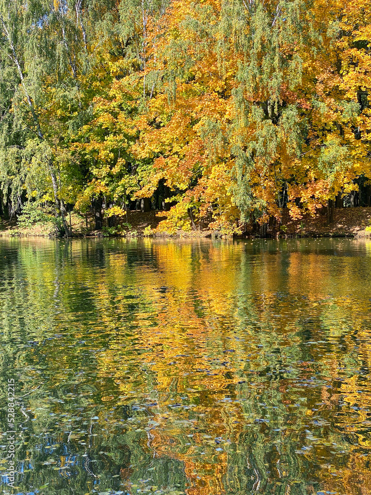 colorful autumn trees reflected in water. vibrant fall colors background.