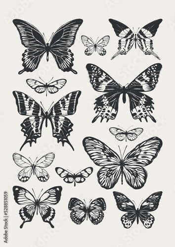 Set of butterflies drawn in black ink. The texture of the brush and paint.