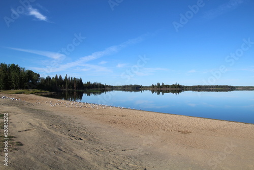 Empty Beach, Elk Island National Park, Alberta
