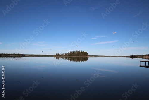 Reflections Of The Island. Elk Island National Park, Alberta