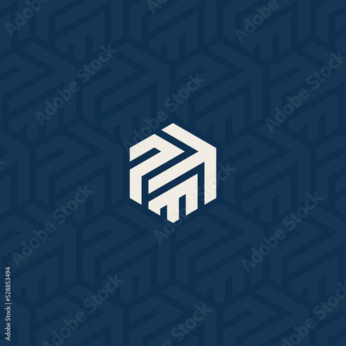 PTM, TPM, or PM logo and up arrow symbol with background pattern design