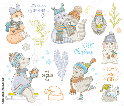 Christmas animals. Winter cute woodland illustration. Kids character card. Vector bunny fox polar bear owl racoon. Cartoon xmas collection. Doodle sketch child outline print. Christmas forest animal