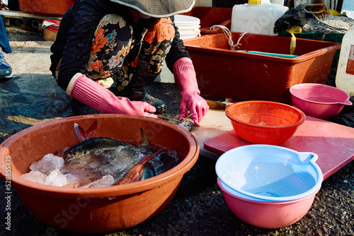 fish market