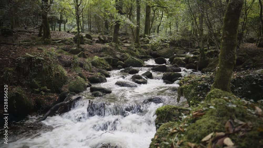 Fast Flowing River In The Woods - Kennall Vale In Cornwall, England, UK - wide shot Fast Flowing River In The Woods - Kennall Vale In Cornwall, England, UK - wide shot