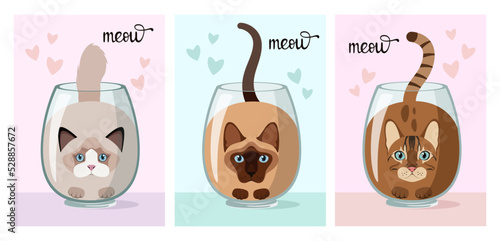 A set of cards with funny cats. Cartoon design.