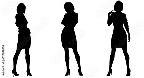 3d illustration. silhouette of Beautiful business woman standing in different poses wearing office formal outfit.