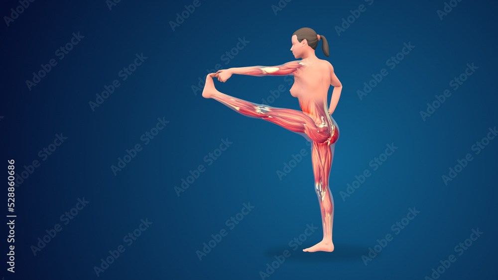 3D human utthita hasta padangusthasana yoga pose on blue background