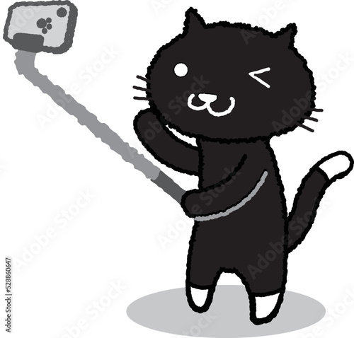 自撮りをする黒猫