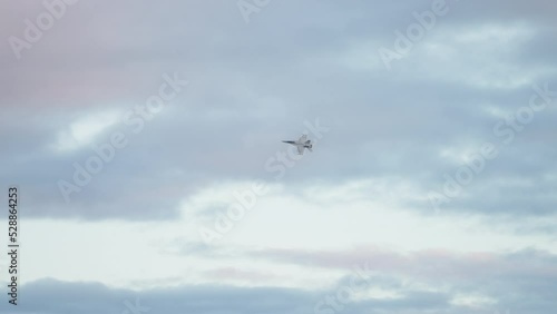 F A 18F Super Hornet Jet Fighter RAAF Plane Banking Left Flying Through Clouds, 4K Slow Motion photo