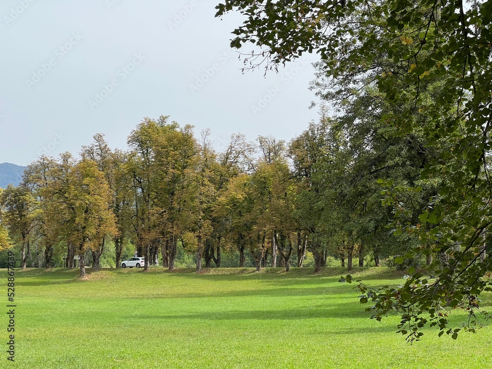 Obraz premium The Sneznik Castle park - Stari Trg pri Lozu, Slovenia (Park ob gradu Snežnik ali Grajski park Snežnik - Stari Trg pri Ložu, Slovenija)