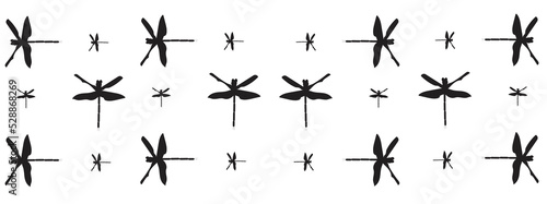 Dragonfly vector image on a white background for illustration or wallpaper.