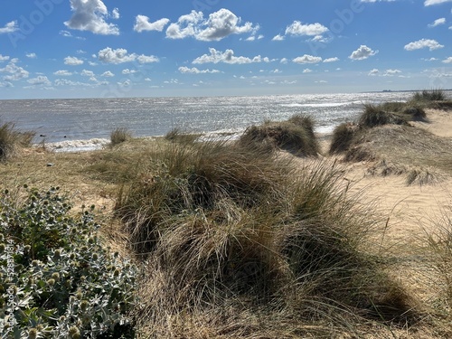 Fotografia Landscape ocean view at Walberswick beach Suffolk East Anglia uk in Summer  blue