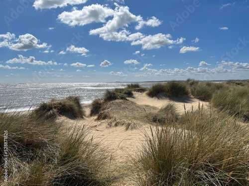 Murais de parede Landscape ocean view at Walberswick beach Suffolk East Anglia uk in Summer  blue